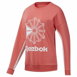 Bluza Damskie Reebok Classic French Terry Big Logo Crew Głęboka Różowe PL 35RQAET